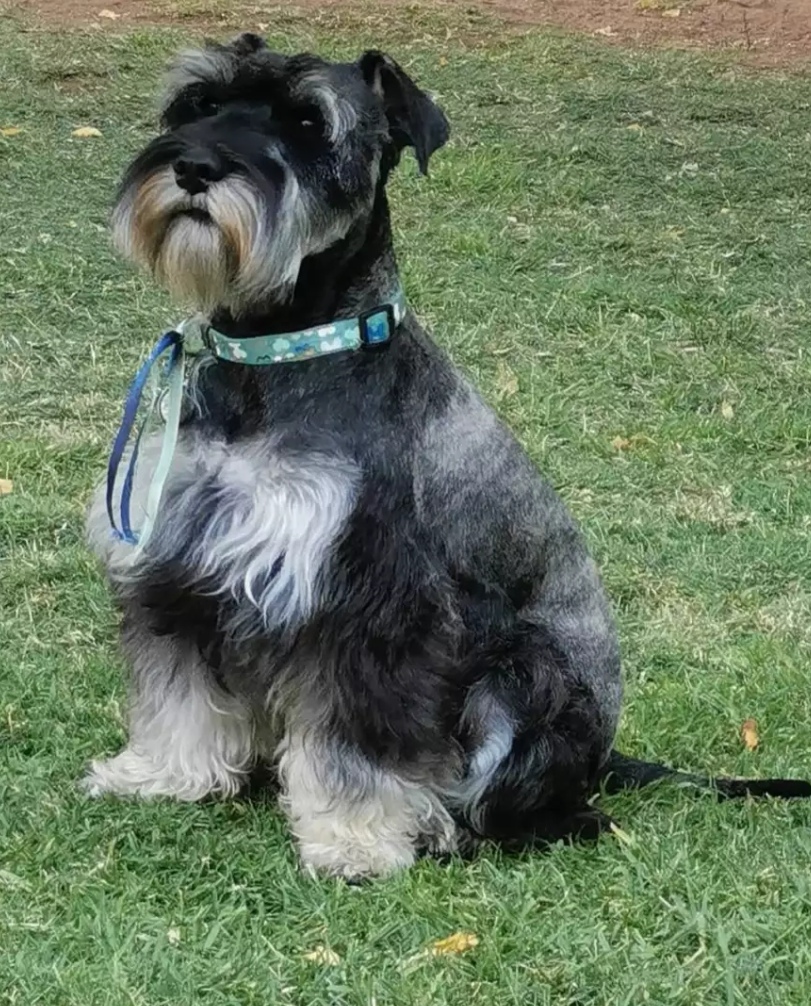 WhatsApp Image 2021-05-11 at 08.15.00