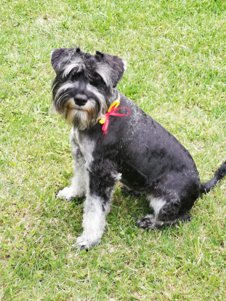 WhatsApp Image 2021-05-11 at 08.15.11