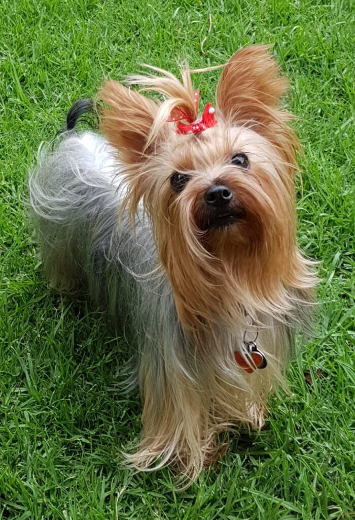 WhatsApp Image 2021-05-11 at 08.29.16