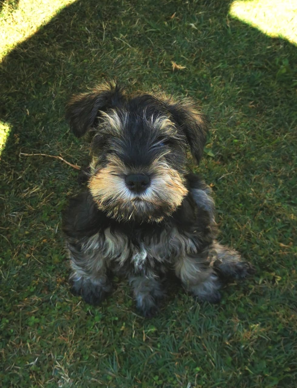 WhatsApp Image 2021-05-11 at 08.32.39