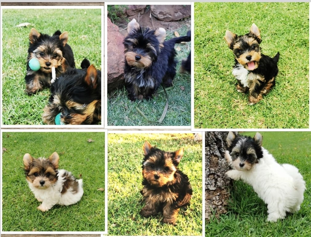 WhatsApp Image 2021-05-14 at 13.19.01 WhatsApp Image 2021-05-14 at 13.19.01