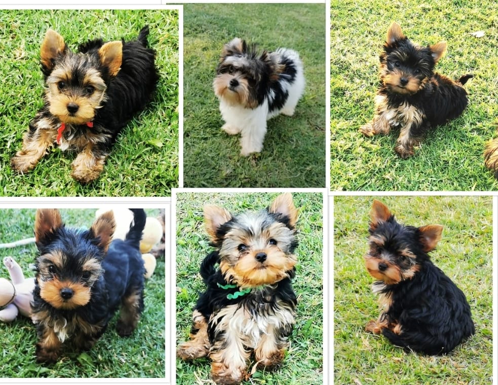 WhatsApp Image 2021-05-14 at 13.19.02 WhatsApp Image 2021-05-14 at 13.19.02