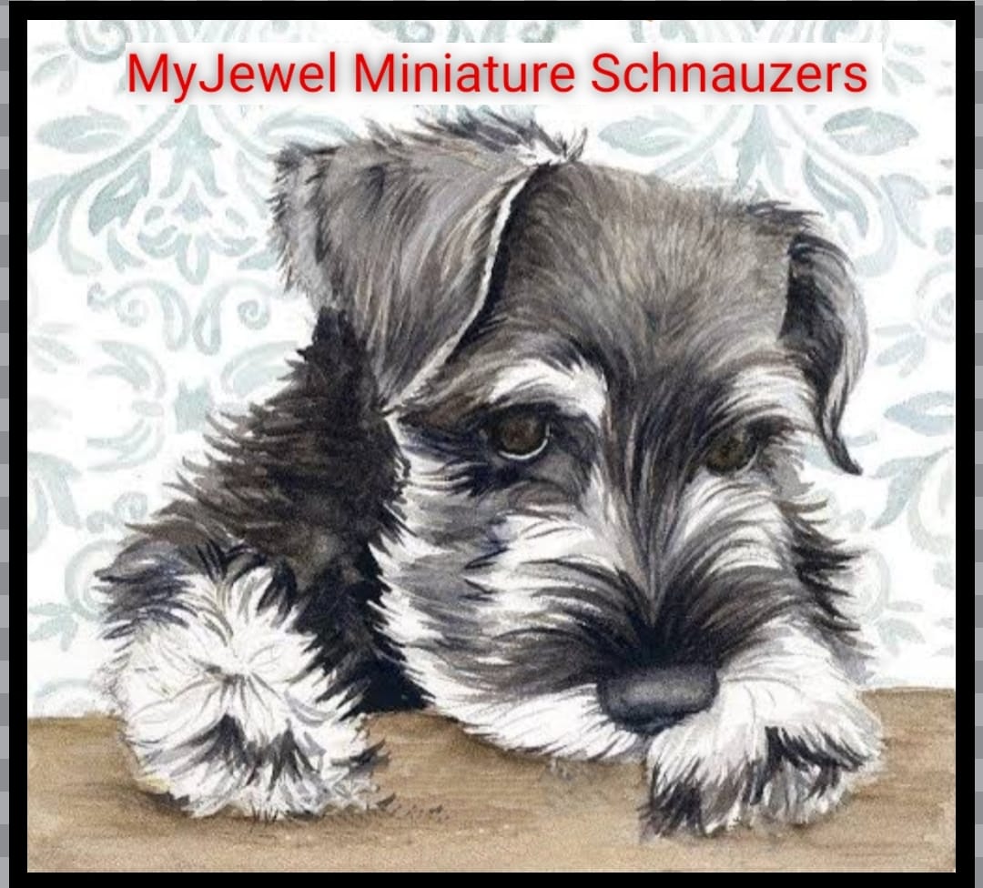 WhatsApp Image 2021-05-14 at 13.19.04 WhatsApp Image 2021-05-14 at 13.19.04