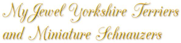 cooltext384261652000030